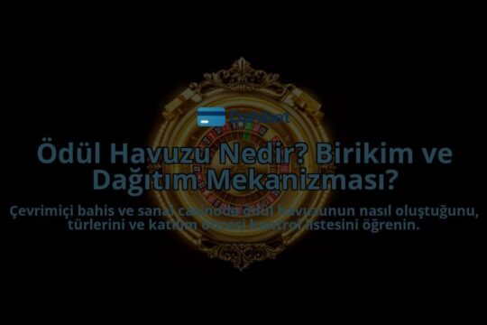 Odul-Havuzu-Nedir-Birikim-ve-Dagitim-Mekanizmasi-overlay-1788259595.jpg